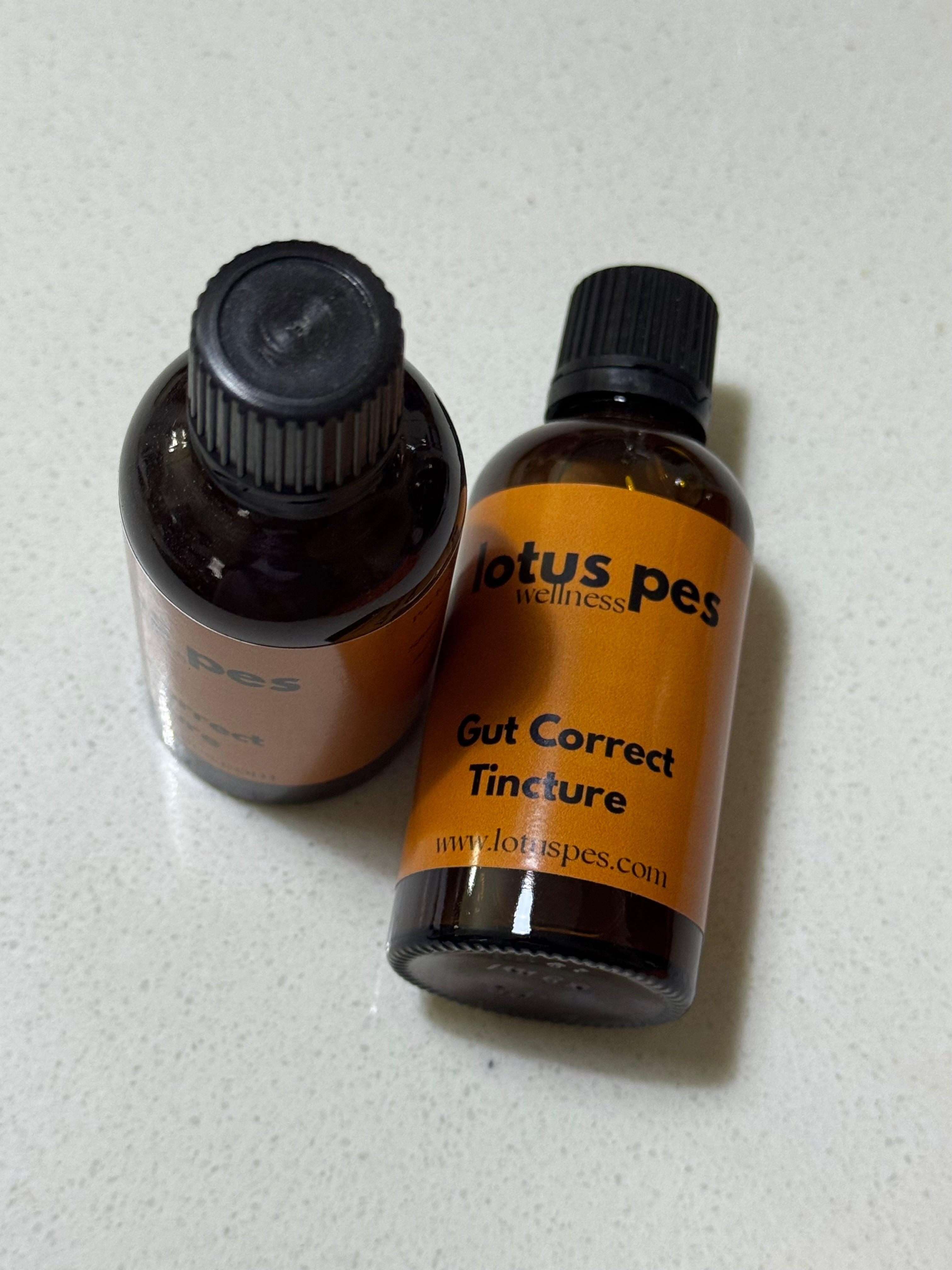 Gut Correct Tincture • Gut Health & Digestive Support