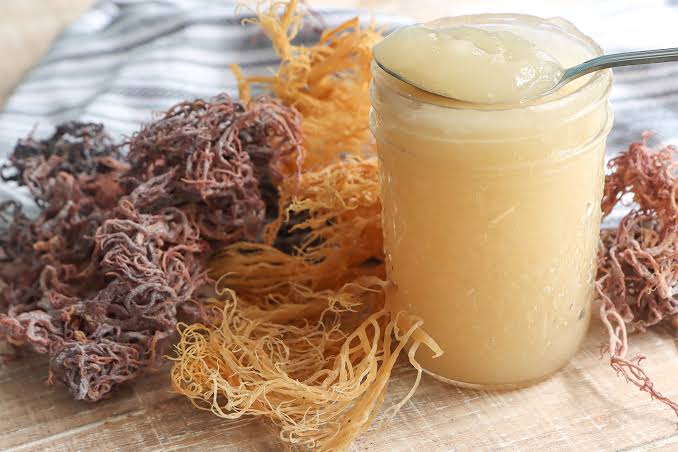 Sea Moss