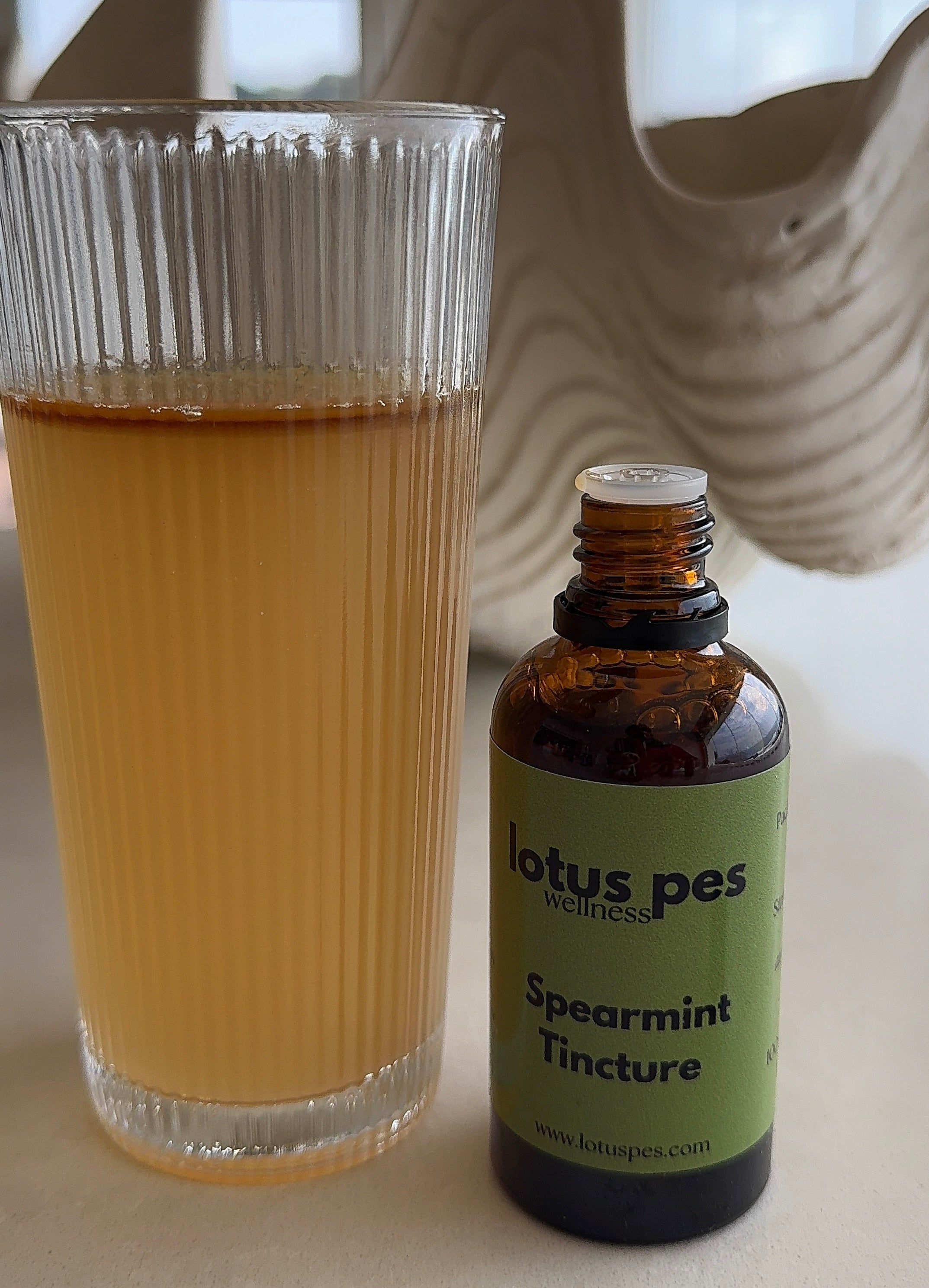 Spearmint Tincture • Digestive Ease, Skin & Hormone Support